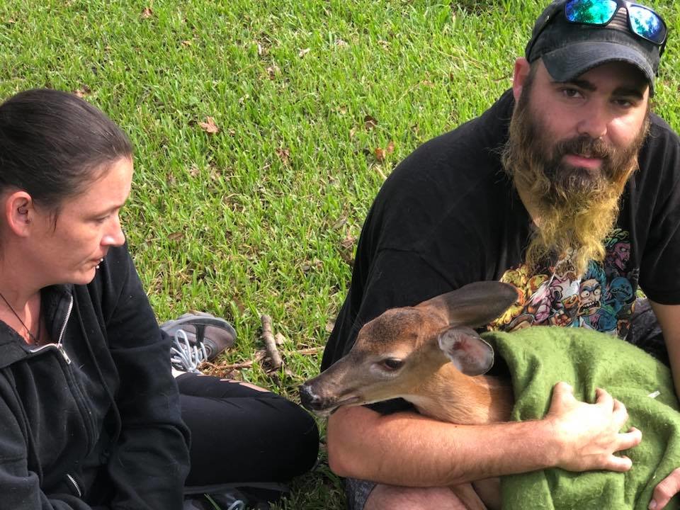 Land For Eastern Exotics Wildlife Foundation