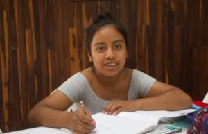 Scholar in academic advising