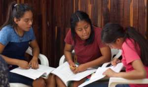 Scholars in community work planning
