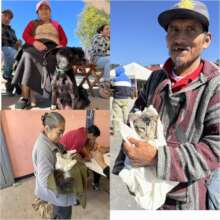 Spay and neuter campaign, November 23 and 24