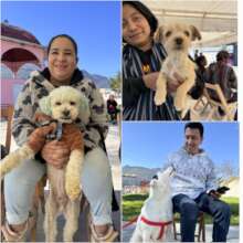 Spay and neuter campaign, November 23 and 24