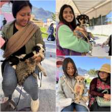 Spay and neuter campaign, November 23 and 24