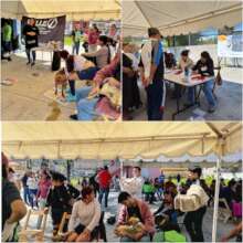 Spay and neuter campaign, November 23 and 24