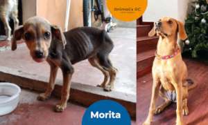 Morita: before and after