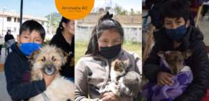 Free spay and neuter campaing