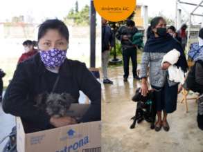 Free spay and neuter campaing
