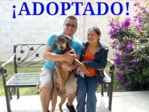 Churro with his new family