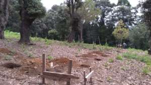 Construction of the rehabilitation center