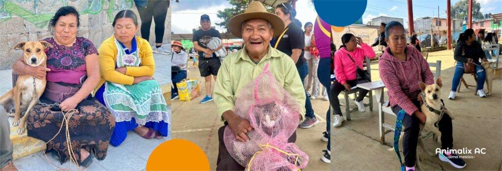 Spay and neuter campaign, Mayo 17 to 18