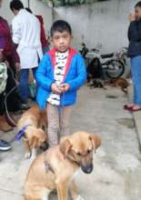 Spay and neuter campaing