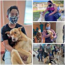 Spay and neuter campaign, October 23 and 24.