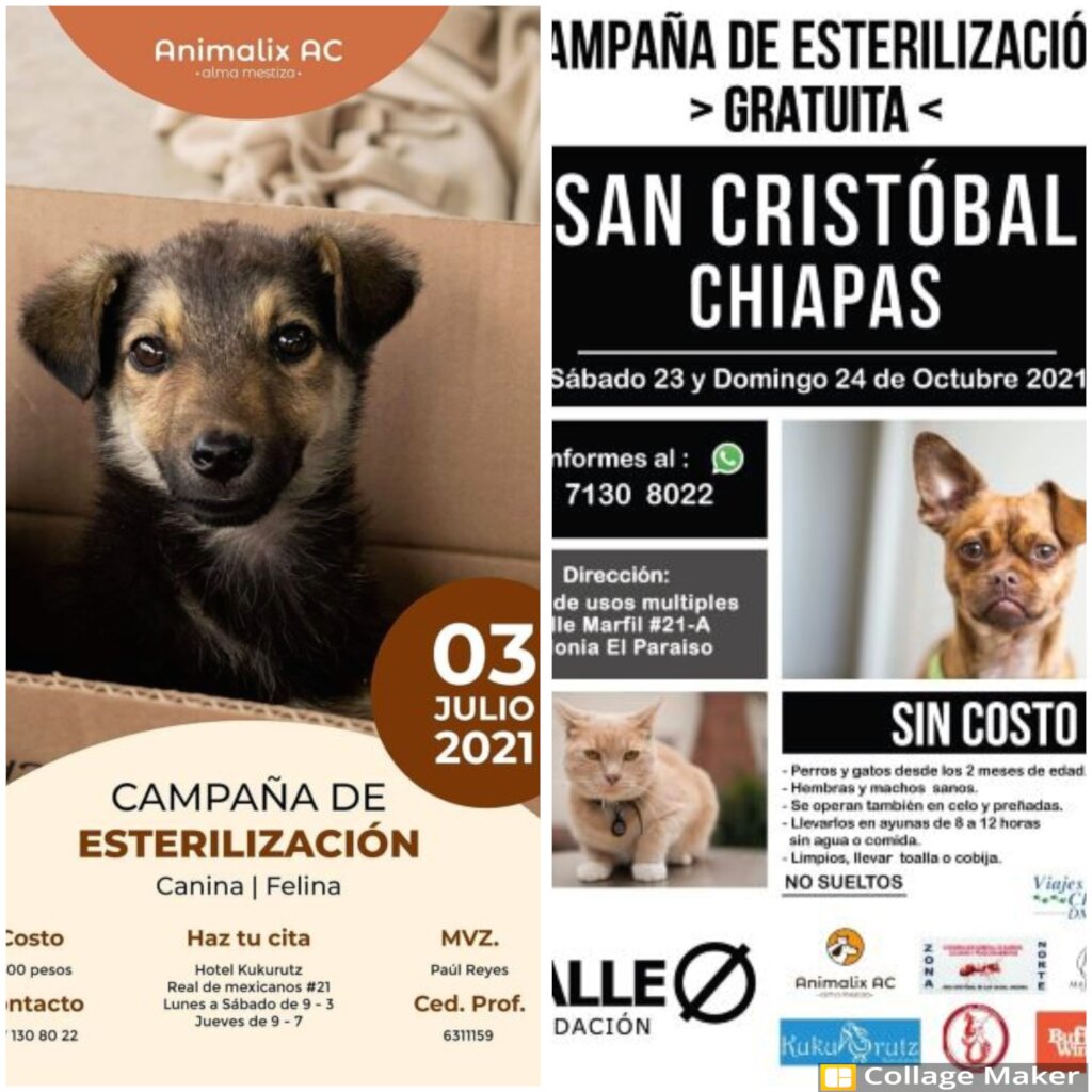 Posters