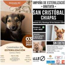 Posters