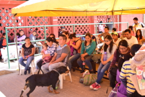 Animal registration