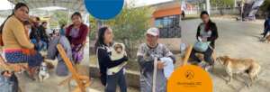 Spay and neuter campaign, April 12 to 14