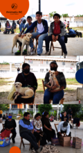 Spay and Neuter Campaign