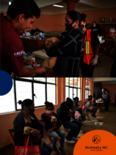 Spay and Neuter Campaign