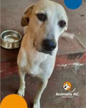 Nikte spent 5 years to be adopted
