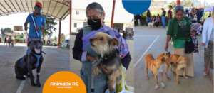 Spay and neuter campaign, November 13 and 14.