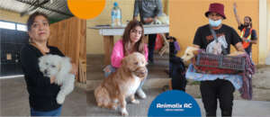 Spay and neuter campaign, Oct 08 and dec 17.