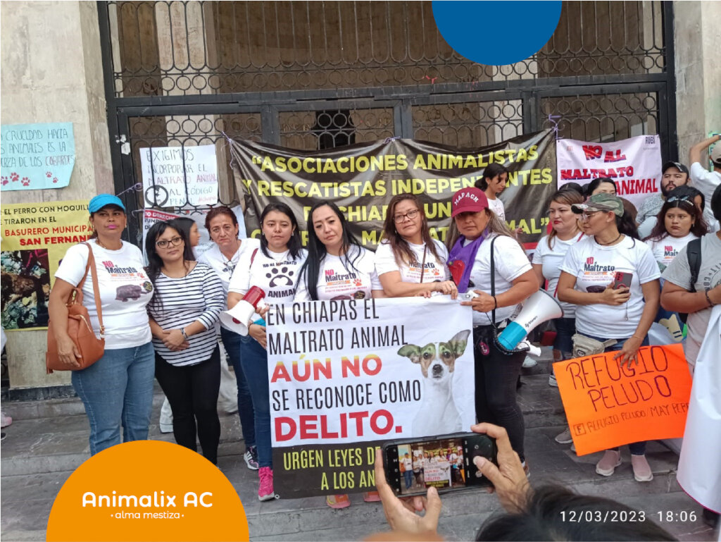 March against animal abuse