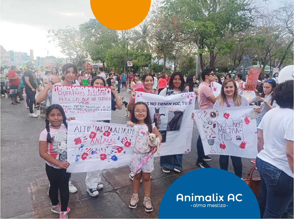 March against animal abuse