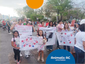 March against animal abuse