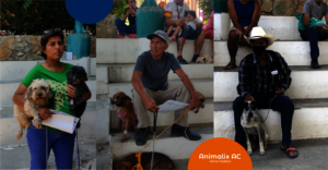 Spay and neuter campaign, April 29 and 30