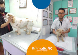 Free medical consultations: Blanca y Cerci