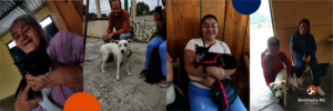 Spay and neuter campaign in San Cristobal