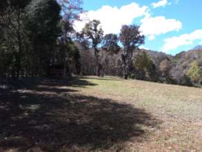 Coming Soon Dog and Cat Rehabilitation Center
