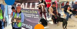 Spay and neuter campaign, November 23 and 24