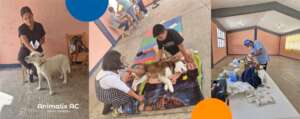 Spay and neuter campaign, September 21