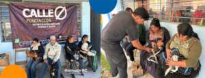 Spay and neuter campaign, November 23 and 24