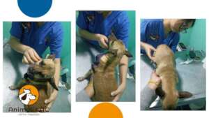 Free medical consultations: Lucho.