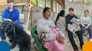 Spay and neuter campaign, 19 July 2025