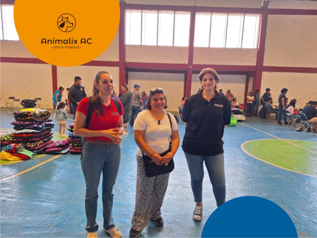 Help stop animal suffering in Chiapas, Mexico