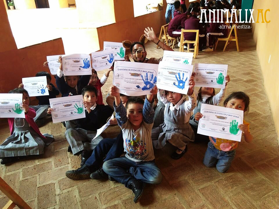 Help stop animal suffering in Chiapas, Mexico