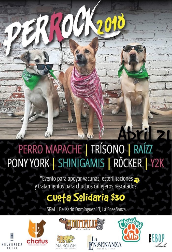 Help stop animal suffering in Chiapas, Mexico