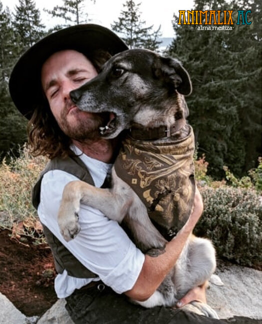 Help stop animal suffering in Chiapas, Mexico