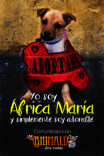 The beautiful Africa today lives with Carolina