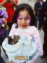 Little girl and her recently sterilized kitten