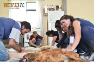 Volunteers in the recovery room after the surgery