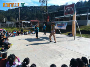 Animal welfare workshops with girls and boys