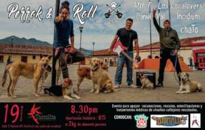 Perrock poster 2016 to raise funds