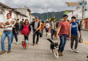 Walk for animal welfare