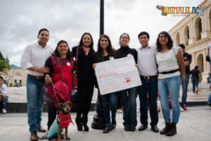 Walk for animal welfare