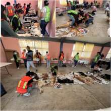 Volunteers of the Spay and Neuter Campaign