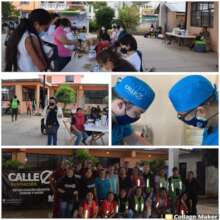 Spay and Neuter Campaign