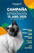 Spay and Neuter Campaign 2025